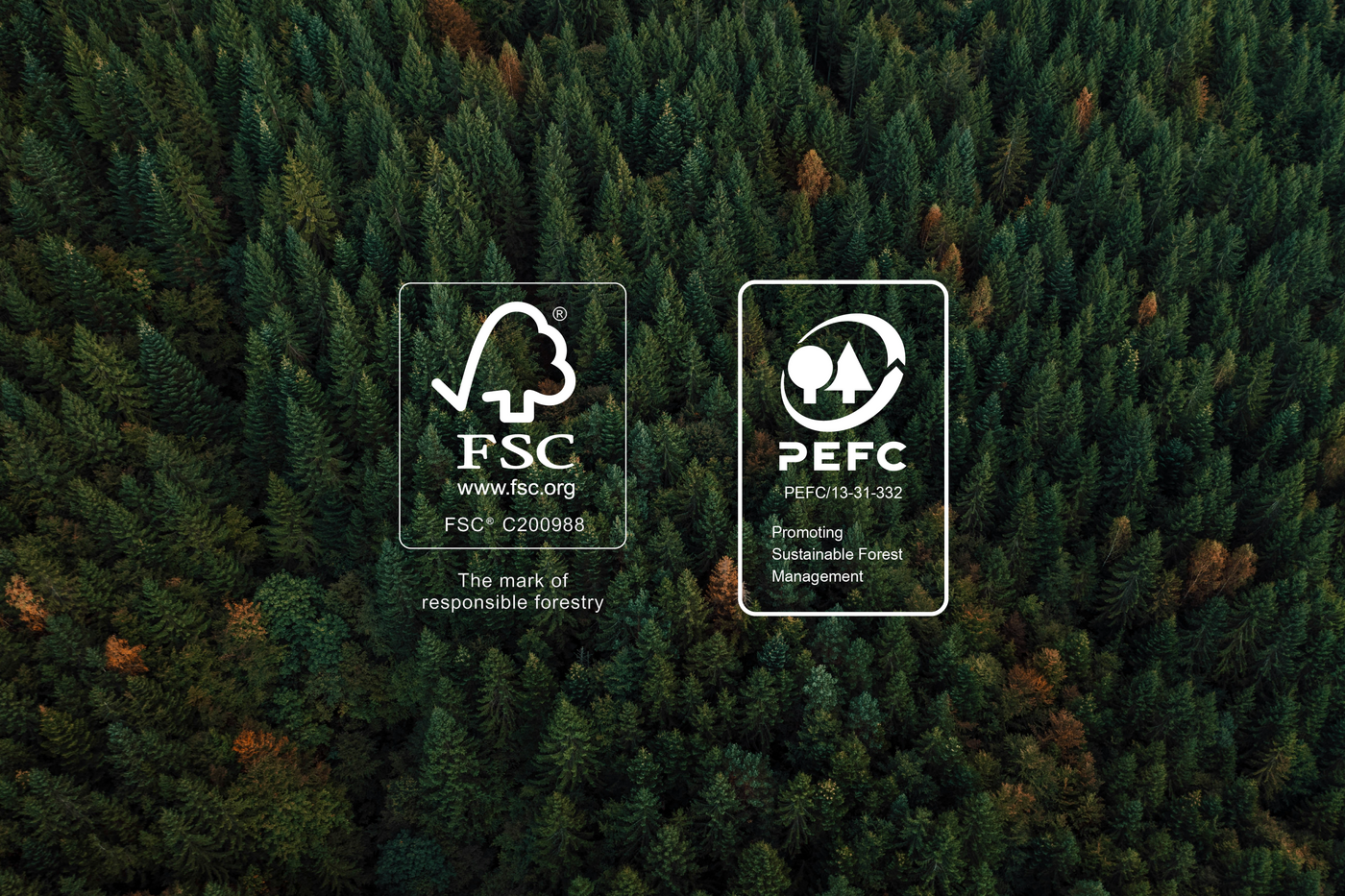 Certificações PEFC e FSC: Garantir Sustentabilidade e Qualidade na Kozowood Industries 