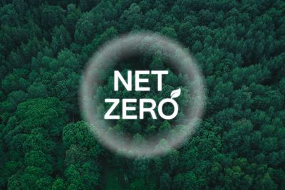 Net Zero na Kozowood